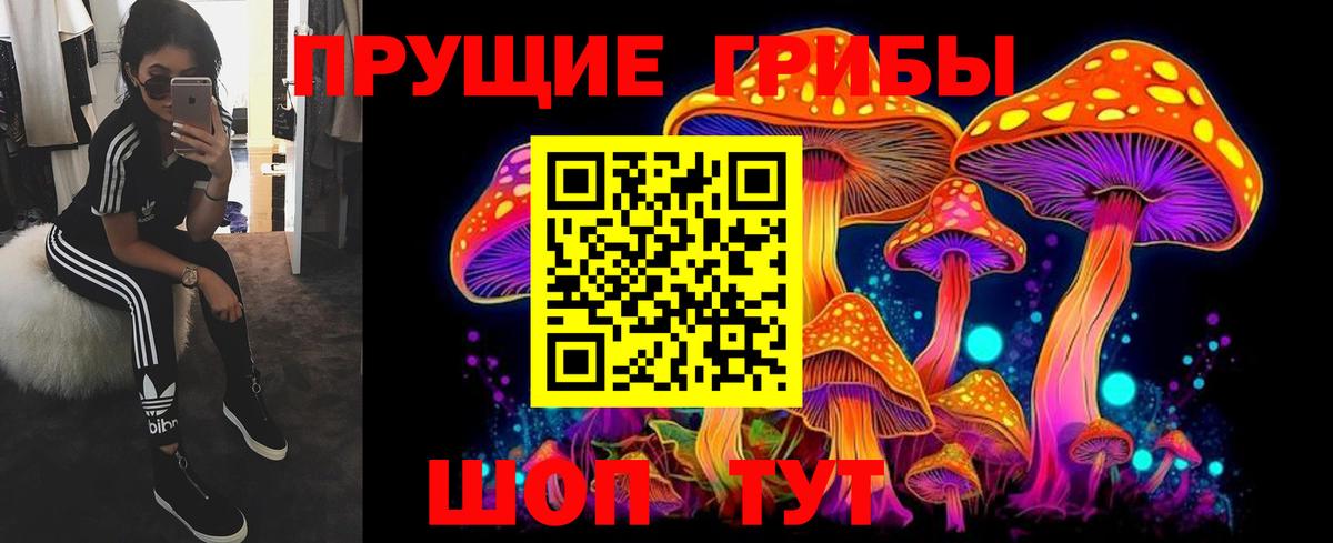 Псилоцибиновые грибы Psilocybine cubensis Казань