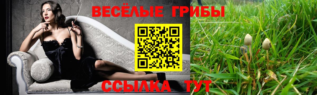 Казань  Галлюциногенные грибы мицелий  купить наркоту  Вход с VPN 